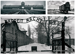 Témoignage d'une rescapée d'Auschwitz - MM Park